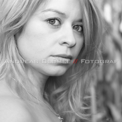 2012-10-_MG_4651